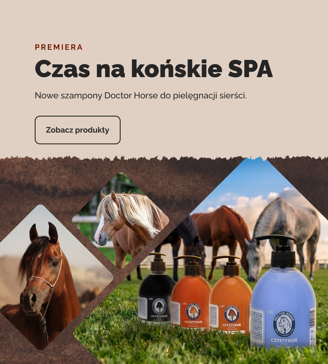 nowe szampony